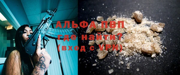 дживик Абаза