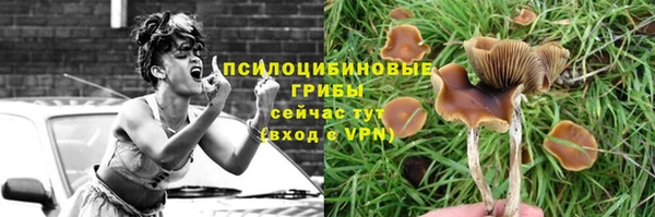 прущая мука Пролетарск